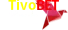 Payment Method